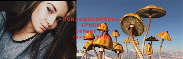 бутират Кодинск