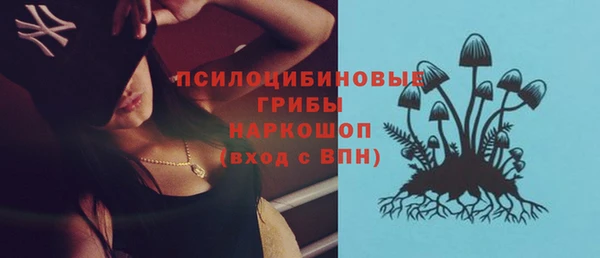 spice Михайловка