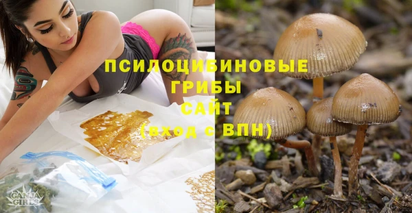 марки lsd Михайлов