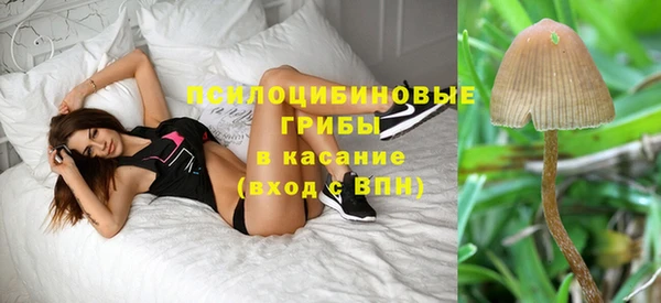 амфетамин Козловка