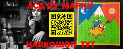 мдпв Гусев