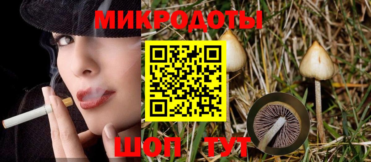 Псилоцибиновые грибы мицелий Муром