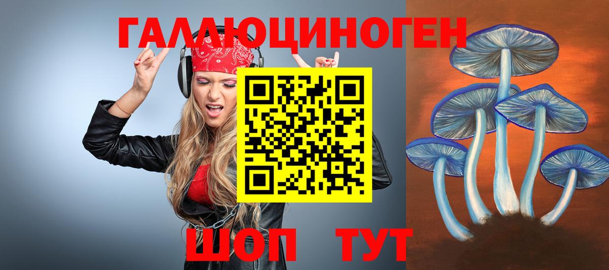 Псилоцибиновые грибы Cubensis  Вход с VPN  Муром  Галлюциногенные грибы GOLDEN TEACHER 