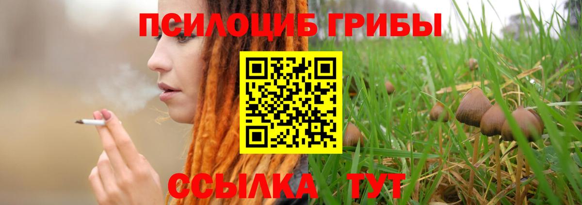 Галлюциногенные грибы GOLDEN TEACHER Муром